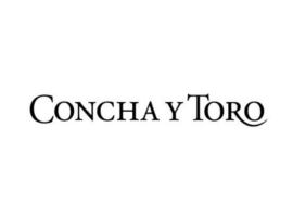 11 concha y toro